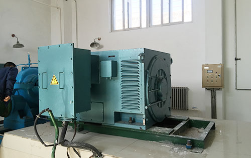 Y5605-10某水电站工程主水泵使用我公司高压电机